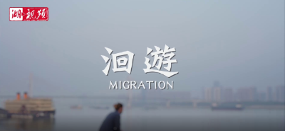老外看长江大保护：“微笑天使”的洄游