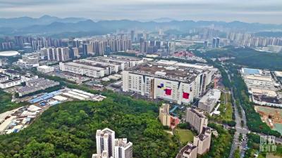 时政新闻眼丨习近平在广州调研这两家企业，蕴含哪些战略思考？