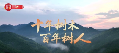 时政专题片丨十年树木 百年树人——习近平与树的故事