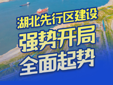 一图读懂丨建设先行区，湖北这样干！