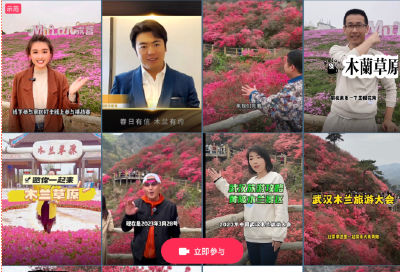 又刷屏！全网关注量破2亿！