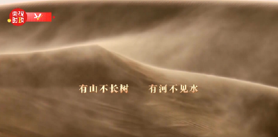 时政专题片丨叶长千年茂 根扎大地深——习近平与树的故事