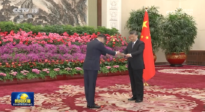 习近平接受外国驻华大使递交国书