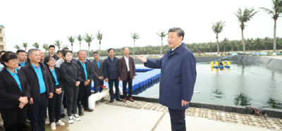 独家视频丨习近平在广东考察调研