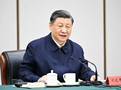 第一观察丨领会总书记考察雄安的深意