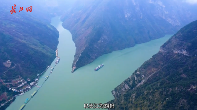 长江网——联动长江，连接全国，构建全网亿级传播流量