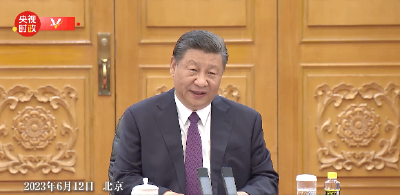 独家视频丨习近平：历史将铭记你们为中洪关系作出的贡献