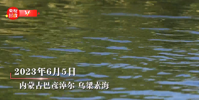 时政微纪录丨心系“三北” 久久为功