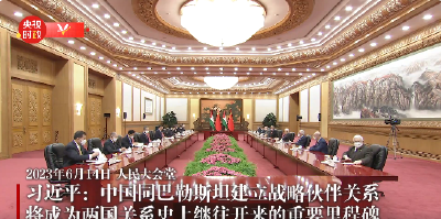 独家视频丨习近平：中国同巴勒斯坦建立战略伙伴关系 将成为两国关系史上继往开来的重要里程碑