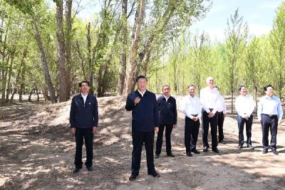 镜观·领航丨筑牢祖国绿色生态屏障