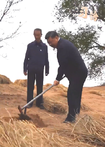 习语｜“人不负青山，青山定不负人”