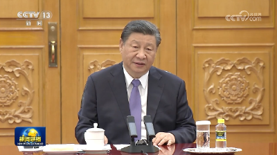 习近平同巴勒斯坦总统举行会谈
