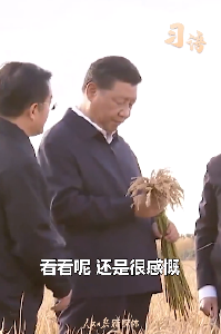 习语｜“中国人要把饭碗端在自己手里”