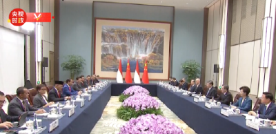 习近平会见印度尼西亚总统