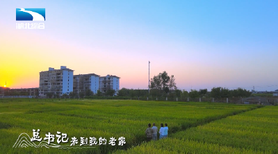 穿过绿水青山拥抱你，鄂州鄂城新版《峒山老家》推出