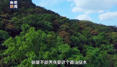 时政微视频丨绿水青山间的幸福