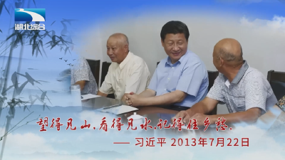湖北电视台：沿着习近平总书记的足迹 看《峒山·十年》新画卷
