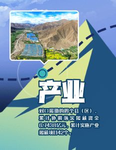 山湖情•SVG海报丨8大关键词，看湖北省第十批援藏工作队成绩单