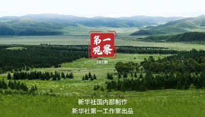 第一观察｜首个全国生态日，领会总书记重要指示的深意