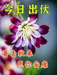 今日出伏！再见了夏天