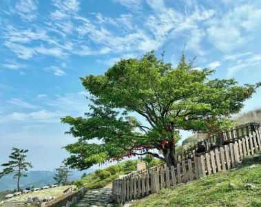 七夕，让山海相随，星河相伴！