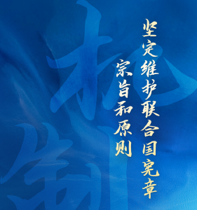 跟着习主席看世界｜坚持遵守联合国宪章宗旨和原则