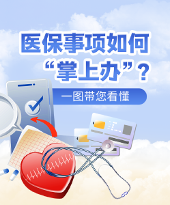 医保事项如何“掌上办”？一图带您看懂