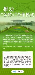 跟着习主席看世界｜独木不成林 习主席金砖话“共赢”