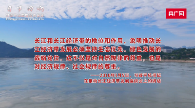 【习声回响】绿色变奏曲奏响新时代“长江之歌”