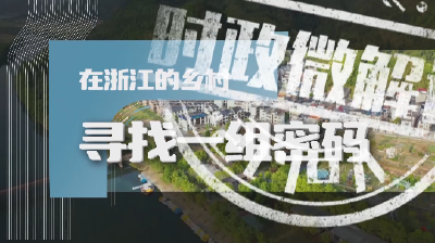 时政微解读丨在浙江的乡村 寻找一组密码