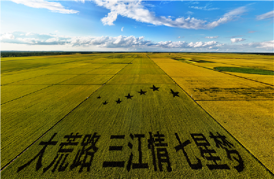 时政微观察丨东北全面振兴的“天时地利人和”