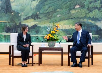 习近平会见红十字国际委员会主席