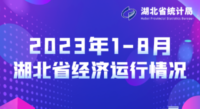 一图看懂1-8月湖北经济运行情况
