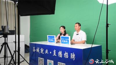 襄阳谷城：直播带岗 让高校毕业生就业触“屏”可及
