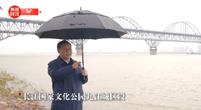 独家视频丨习近平在江西九江市考察调研