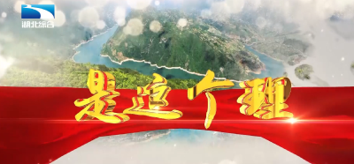 《是这个理》：农人新“稻”路