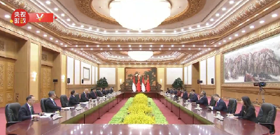 独家视频丨习近平同印度尼西亚总统佐科会谈