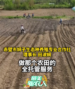 最美新农人 | 生态种养助农增收 智慧管理质效齐增