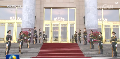 习近平举行仪式欢迎智利总统访华