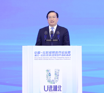 王忠林：打造中国欧洲开放合作新枢纽贸易投资新高地交流互鉴新窗口