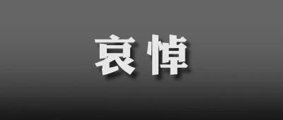 李克强同志生平