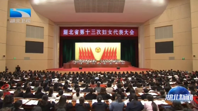 湖北省第十三次妇女代表大会在汉开幕 王蒙徽讲话