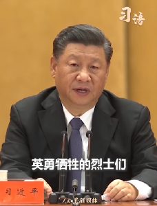 习语｜“我们始终没有忘记”