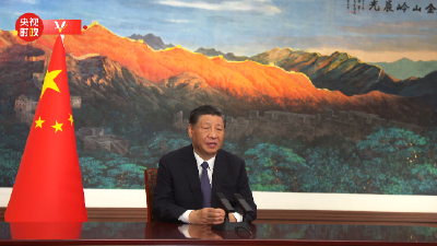 独家视频丨习近平：让互联网更好造福世界各国人民