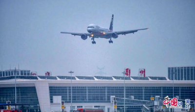 

国网观察｜潮起花湖机场，湖北奋力打造内陆开放“空中出海口”