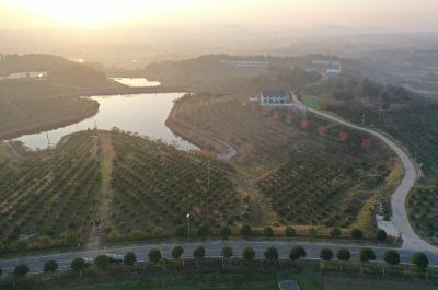 【和美乡村 荆楚画卷】冉冉新星平地起 小村庄有大乾坤