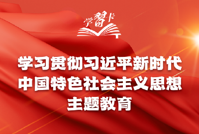 学习卡丨主题教育贯穿全年，一图全解重要知识点