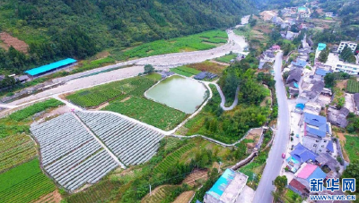 聚焦高质量发展丨一个鄂西山区养牛场华丽“蝶变”的背后