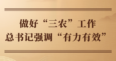 第一观察｜做好“三农”工作 总书记强调“有力有效”