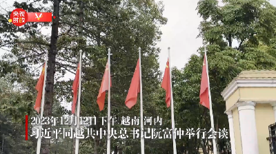 习近平同越共中央总书记阮富仲举行会谈